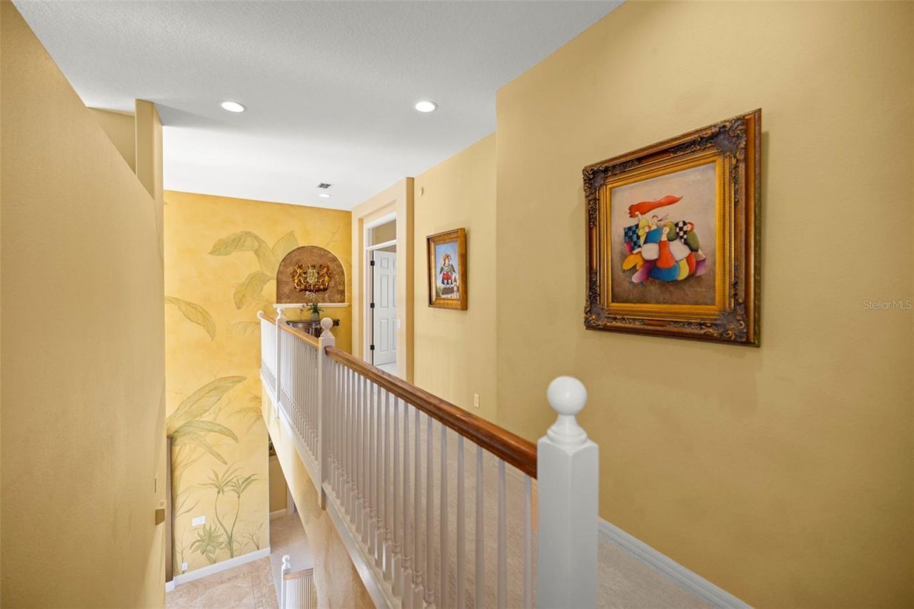 4165 Moreno Drive, Palm Harbor, FL 34685 Photo