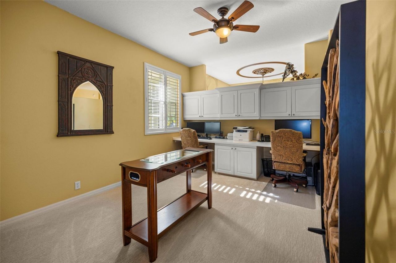 4165 Moreno Drive, Palm Harbor, FL 34685 Photo