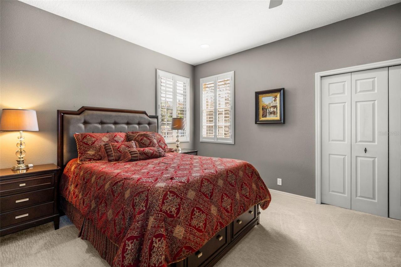 4165 Moreno Drive, Palm Harbor, FL 34685 Photo