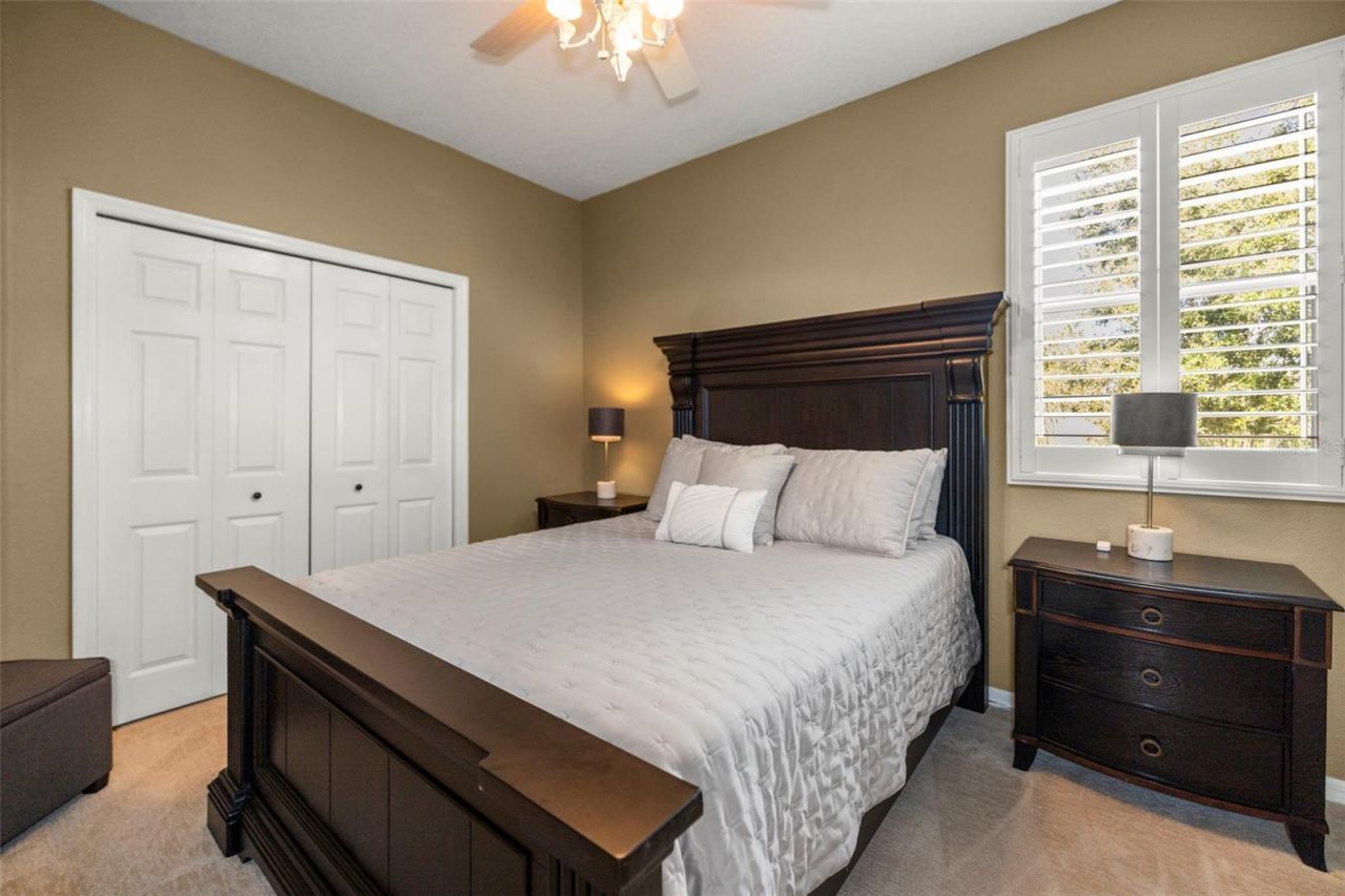 4165 Moreno Drive, Palm Harbor, FL 34685 Photo