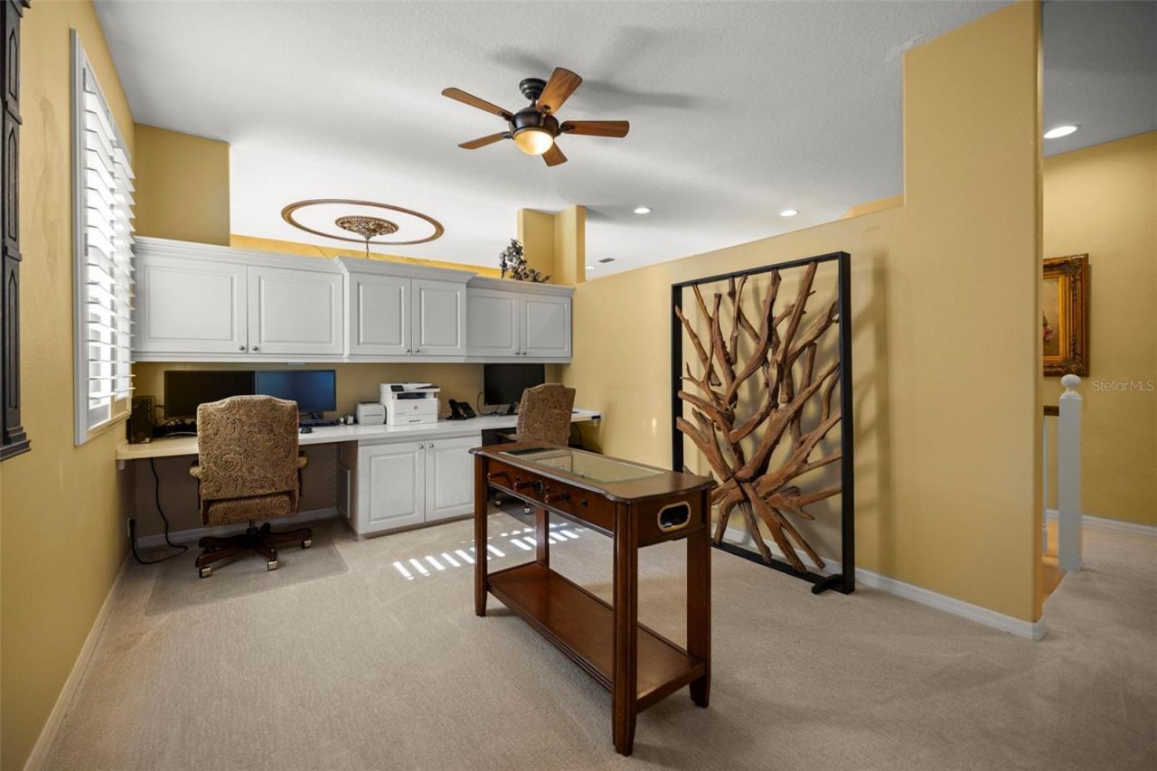 4165 Moreno Drive, Palm Harbor, FL 34685 Photo