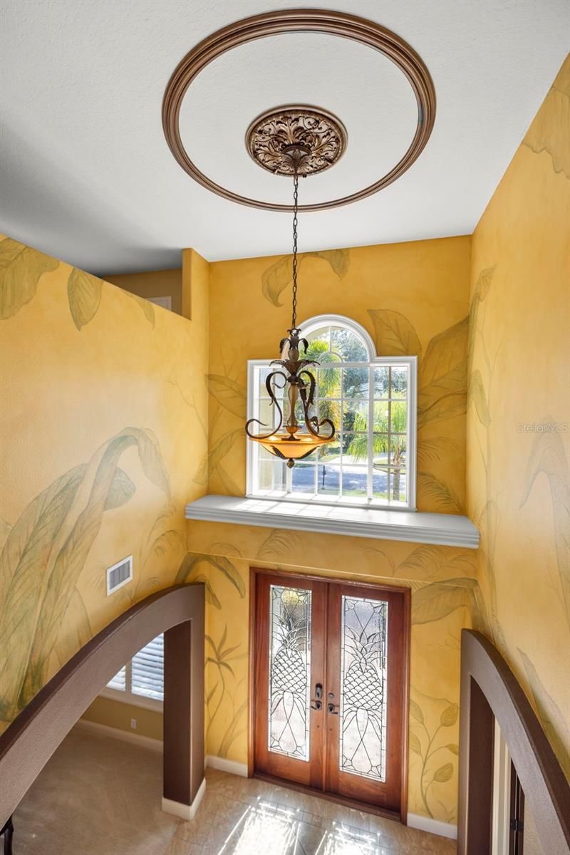 4165 Moreno Drive, Palm Harbor, FL 34685 Photo