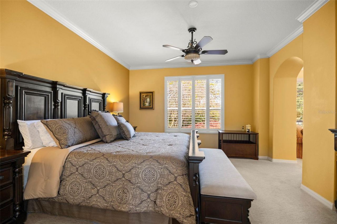 4165 Moreno Drive, Palm Harbor, FL 34685 Photo