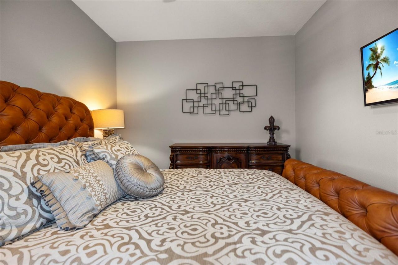 4165 Moreno Drive, Palm Harbor, FL 34685 Photo