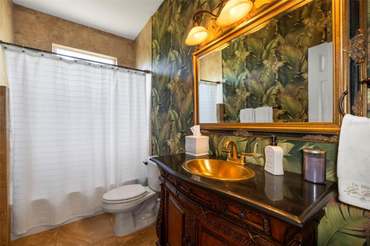 4165 Moreno Drive, Palm Harbor, FL 34685 Photo