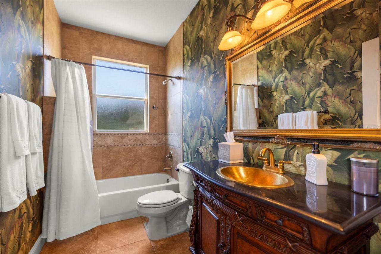 4165 Moreno Drive, Palm Harbor, FL 34685 Photo