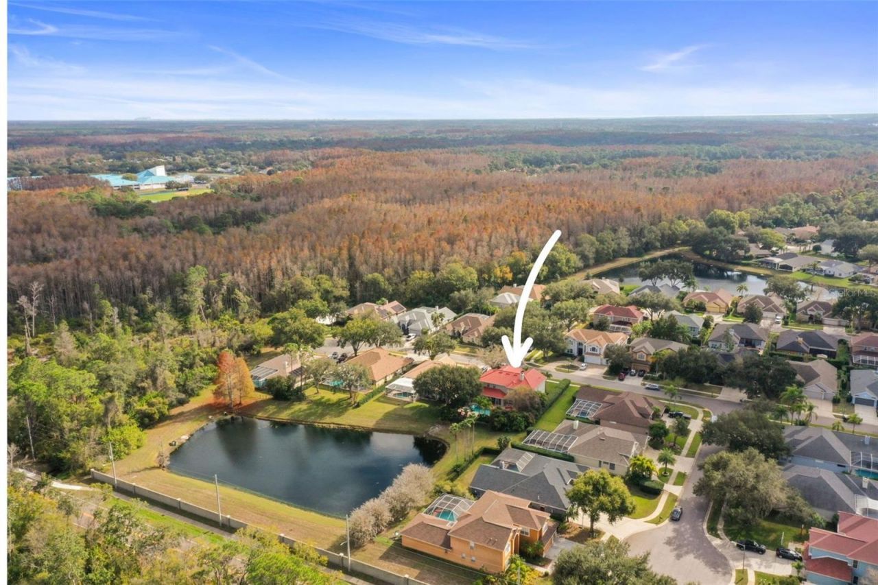 4165 Moreno Drive, Palm Harbor, FL 34685 Photo