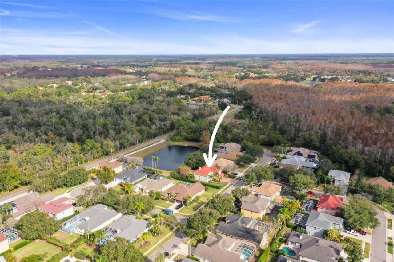 4165 Moreno Drive, Palm Harbor, FL 34685 Photo