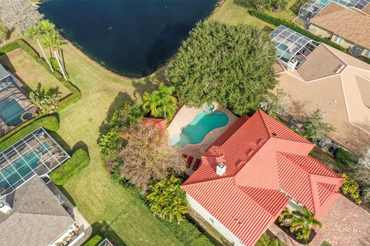 4165 Moreno Drive, Palm Harbor, FL 34685 Photo