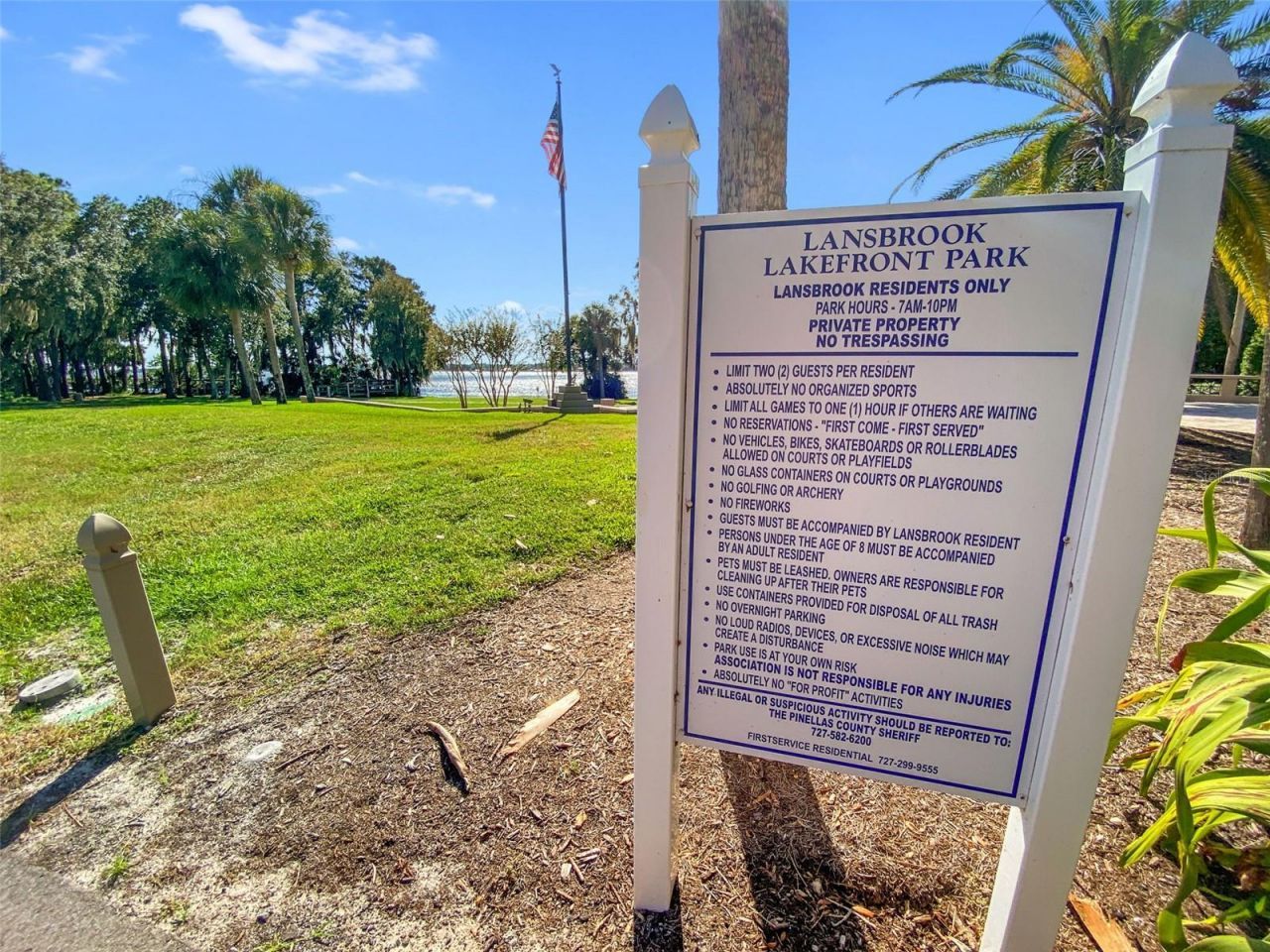 4165 Moreno Drive, Palm Harbor, FL 34685 Photo