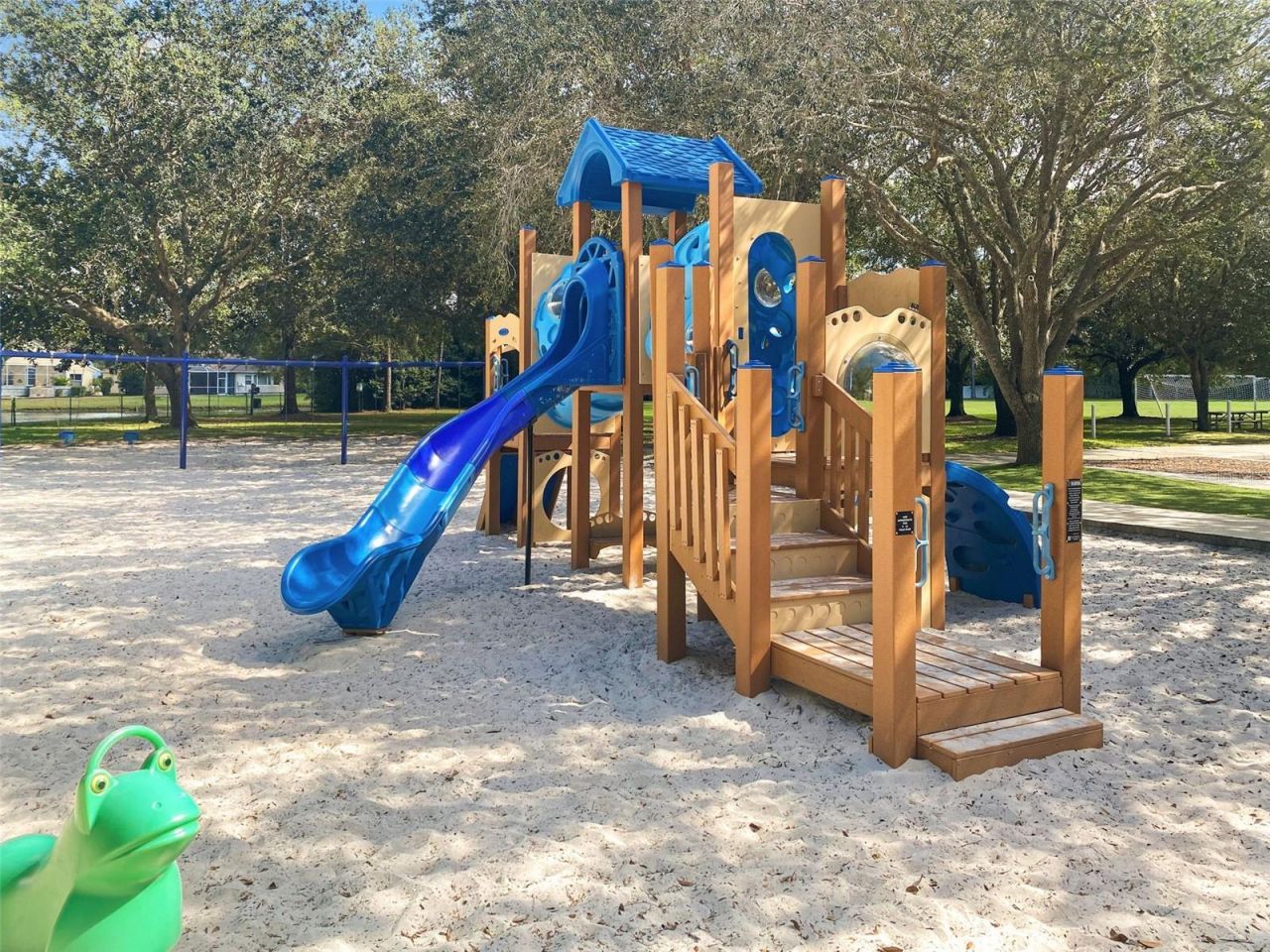 4165 Moreno Drive, Palm Harbor, FL 34685 Photo