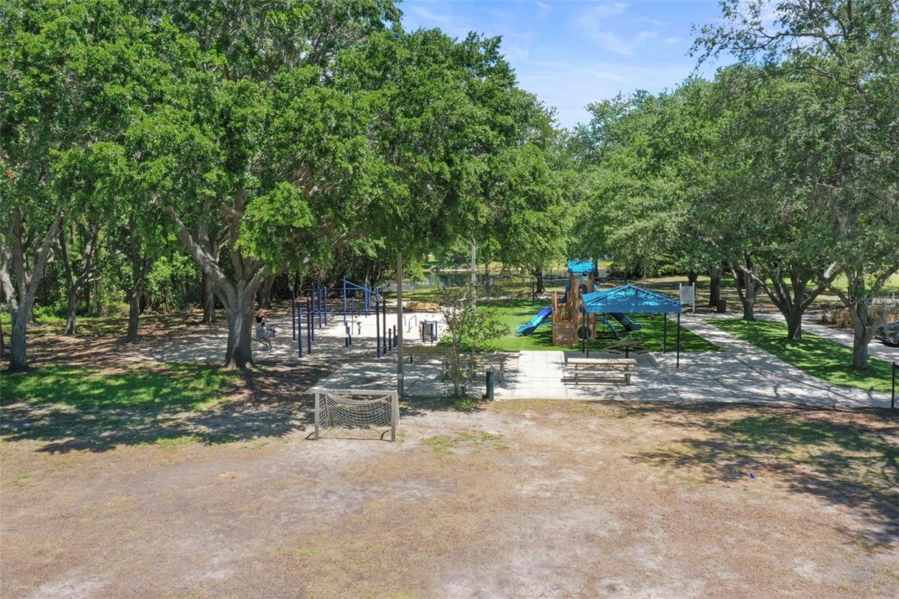 4165 Moreno Drive, Palm Harbor, FL 34685 Photo