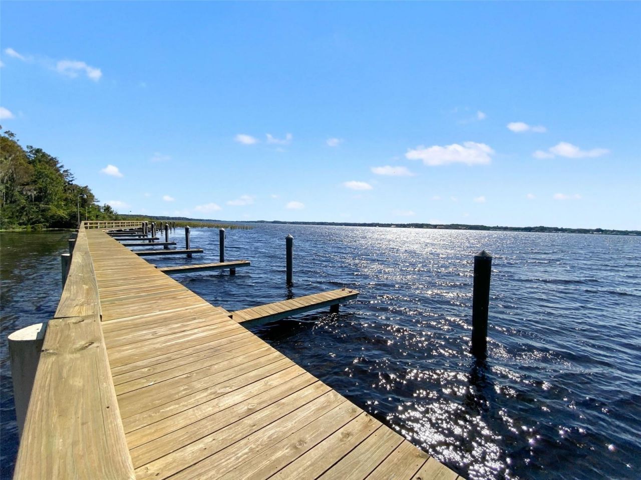 4165 Moreno Drive, Palm Harbor, FL 34685 Photo