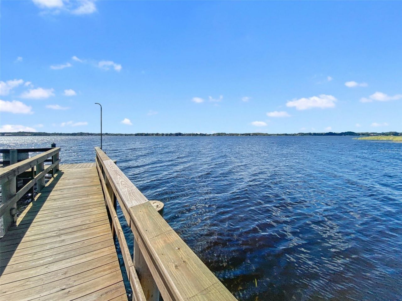 4165 Moreno Drive, Palm Harbor, FL 34685 Photo