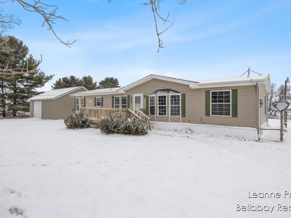 9820 W 5 Point Highway, Bellevue, MI 49021