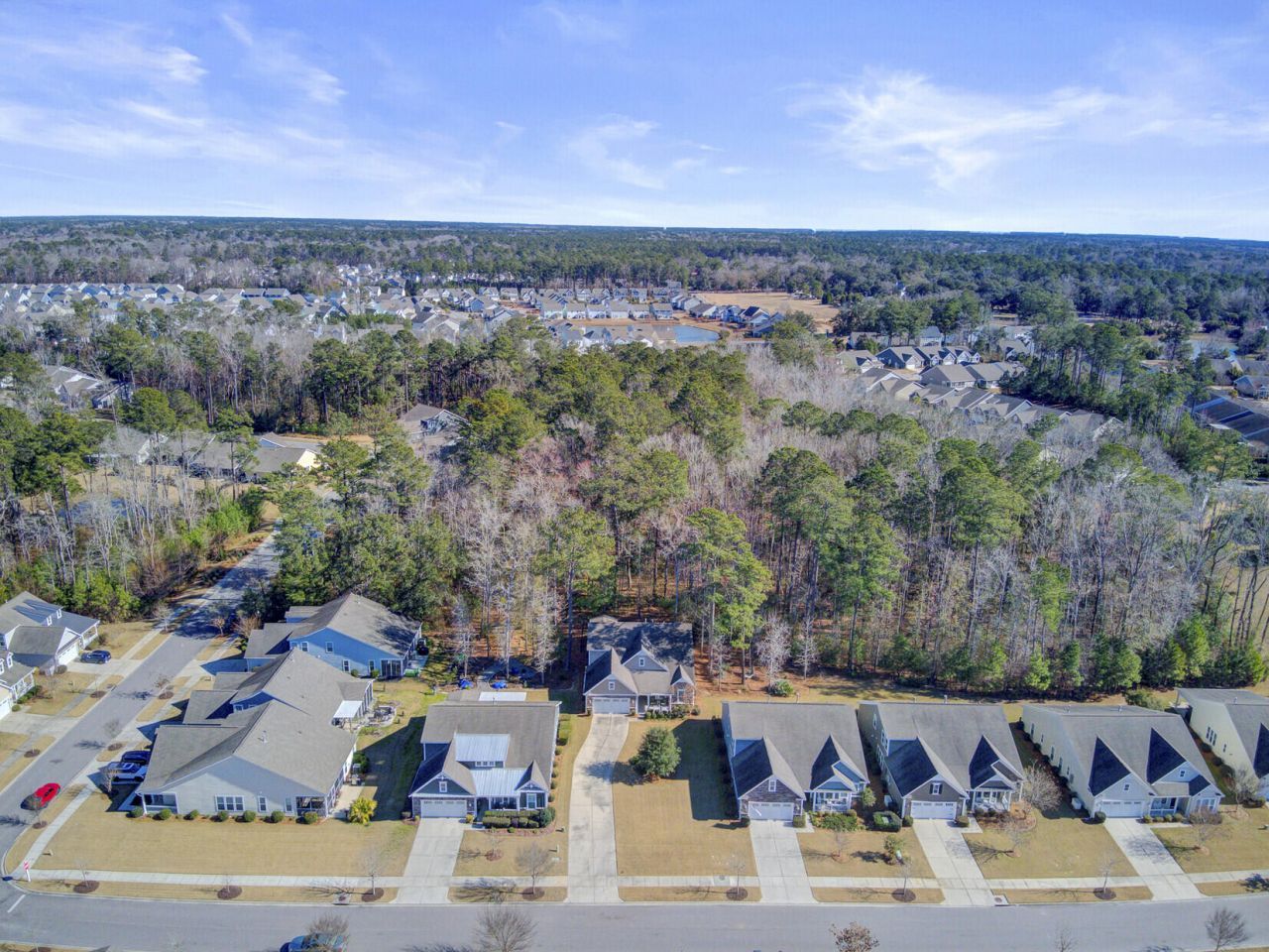 6016 Wild Azalea Road Photo 62