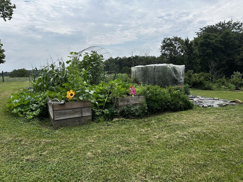 15027 Madison Pike, Morning View, KY 41063 Photo 46