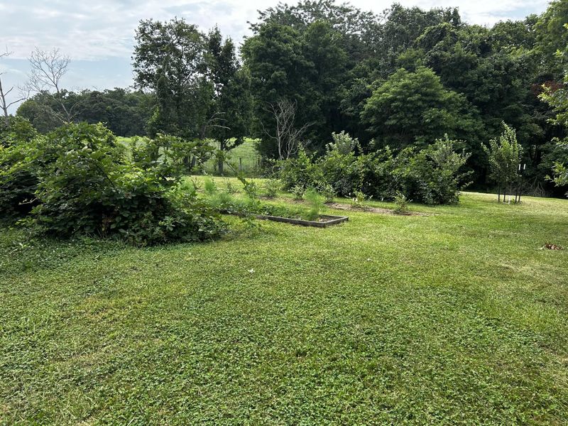 15027 Madison Pike, Morning View, KY 41063 Photo 48