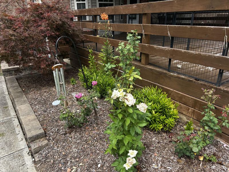 15027 Madison Pike, Morning View, KY 41063 Photo 49