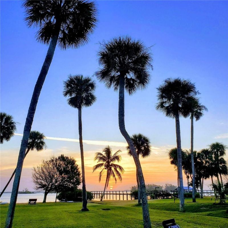 11450 S Indian River Drive, Sebastian, FL 32958 Photo