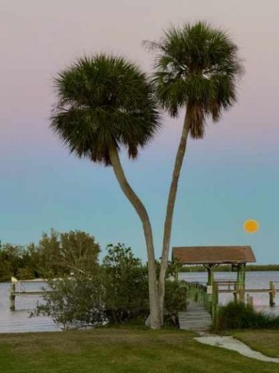 11450 S Indian River Drive, Sebastian, FL 32958 Photo