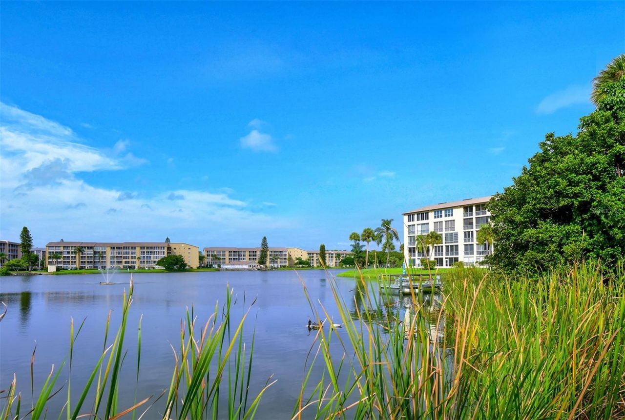 3647 Lake Bayshore Drive, Unit J416, Bradenton, FL 34205 Photo