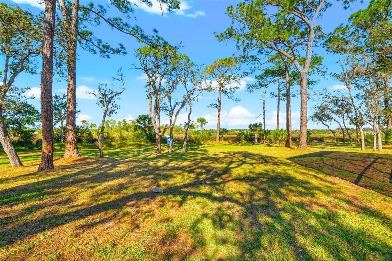 1044 Riverside Ridge Road, Tarpon Springs, FL 34688 Photo