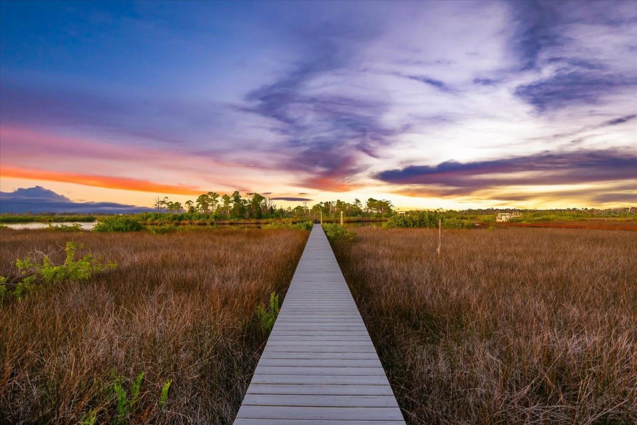 1044 Riverside Ridge Road, Tarpon Springs, FL 34688 Photo