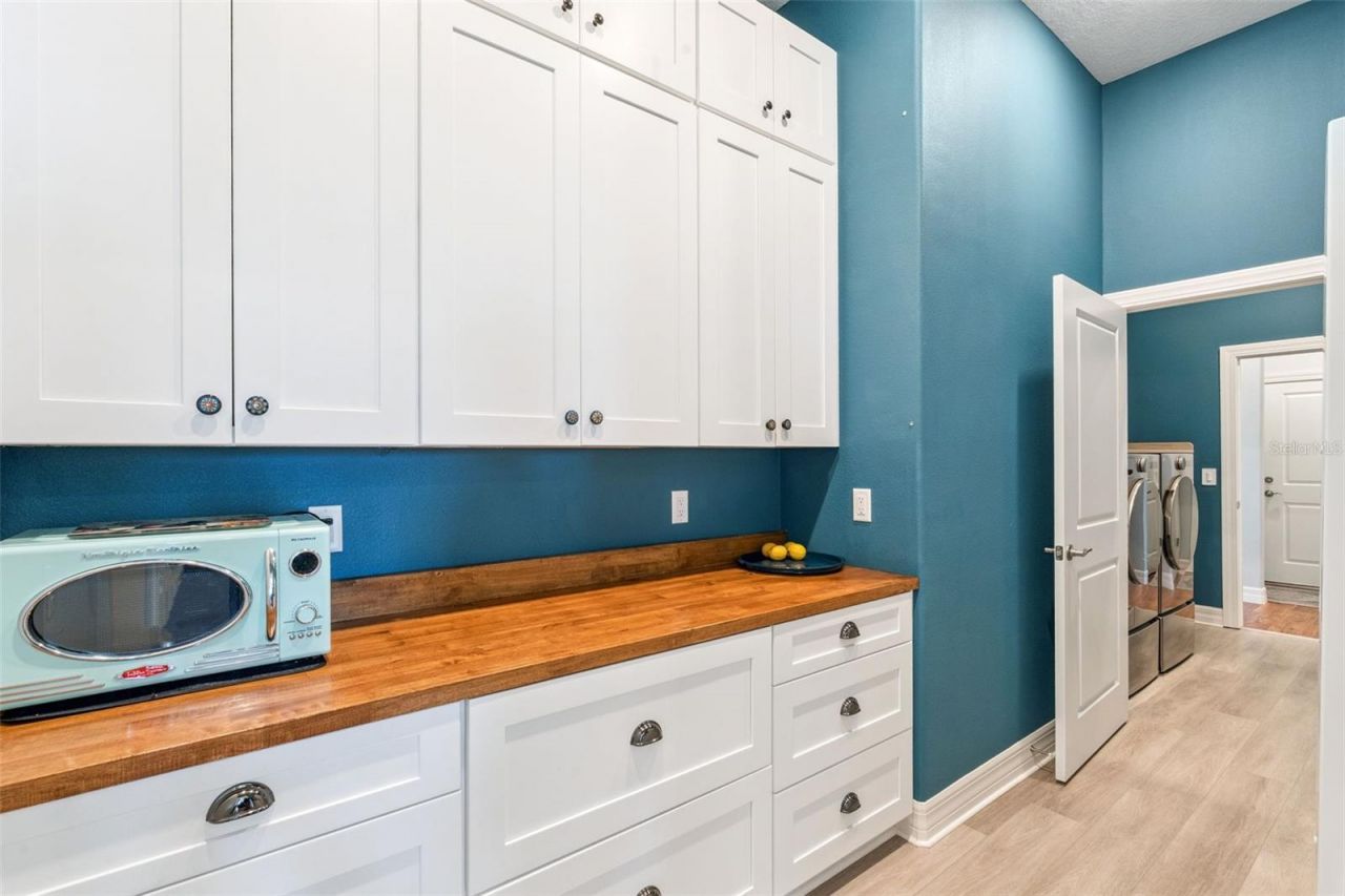 1517 Evening Summit Circle, Minneola, FL 34715 Photo