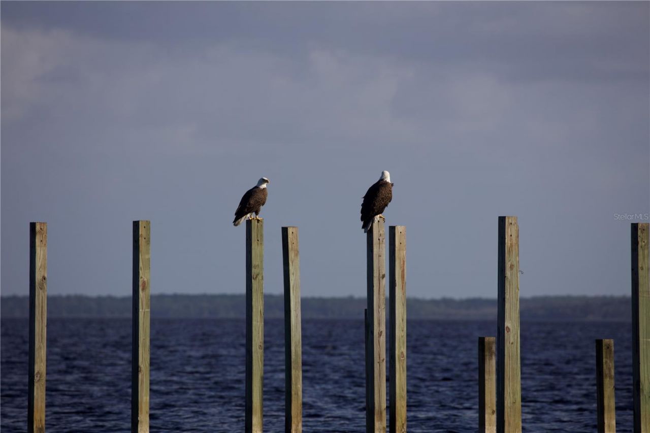 2518 Fort Lane Road, Geneva, FL 32732 Photo