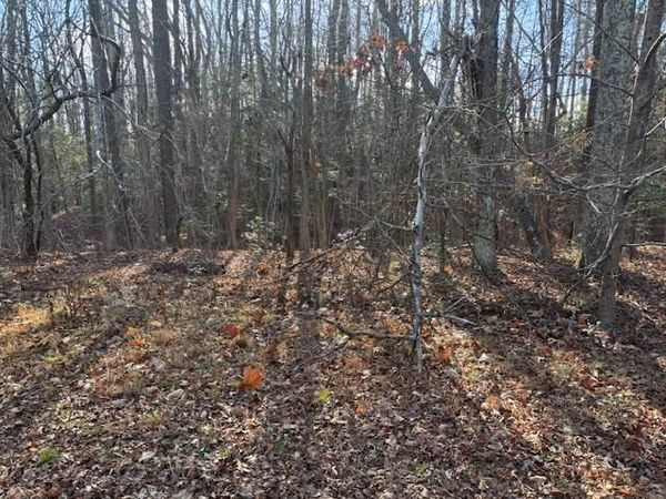 Lot 37 Kings Court, MONTROSS, VA 22520