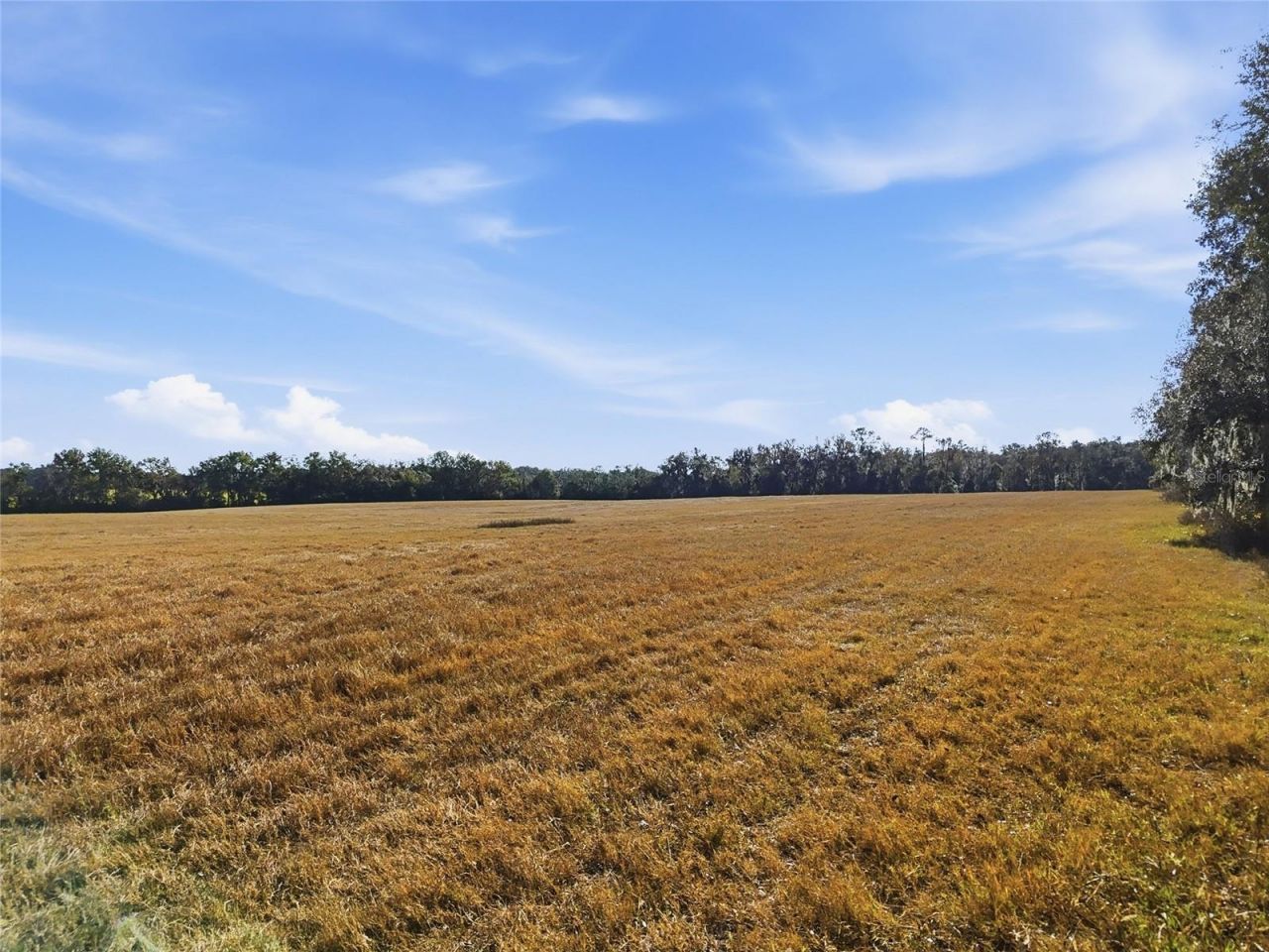 Hwy 236 NW 236, Alachua, FL 32615 Photo