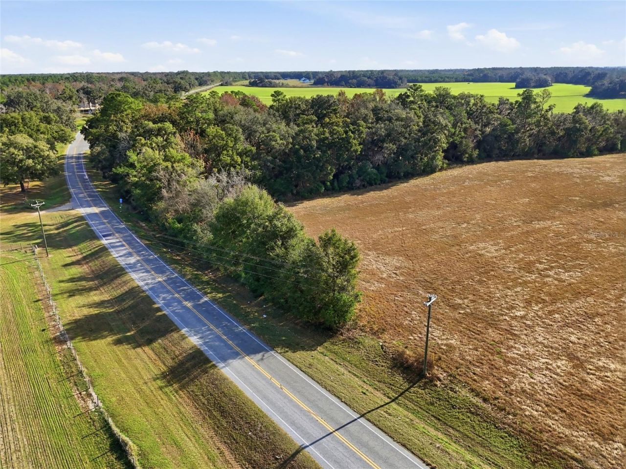 Hwy 236 NW 236, Alachua, FL 32615 Photo