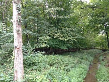 03 Joann Drive, Berlin Twp, MI 48166