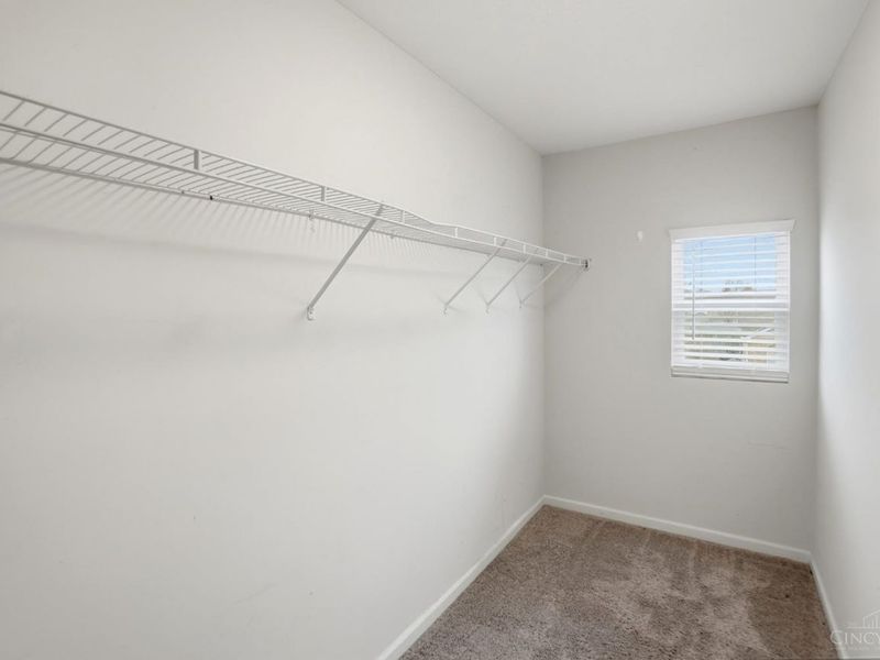 60 Tarragon Way, New Lebanon, OH 45345 Photo 15