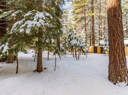 863 Julie Lane, South Lake Tahoe, CA 96150 Photo