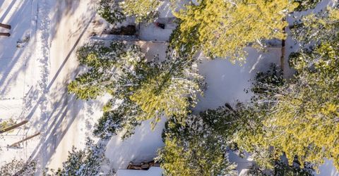 863 Julie Lane, South Lake Tahoe, CA 96150 Photo