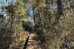 Lot 39 Edisto Lake Road photo 4