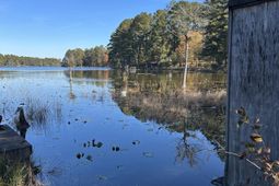 Lot 39 Edisto Lake Road photo 4