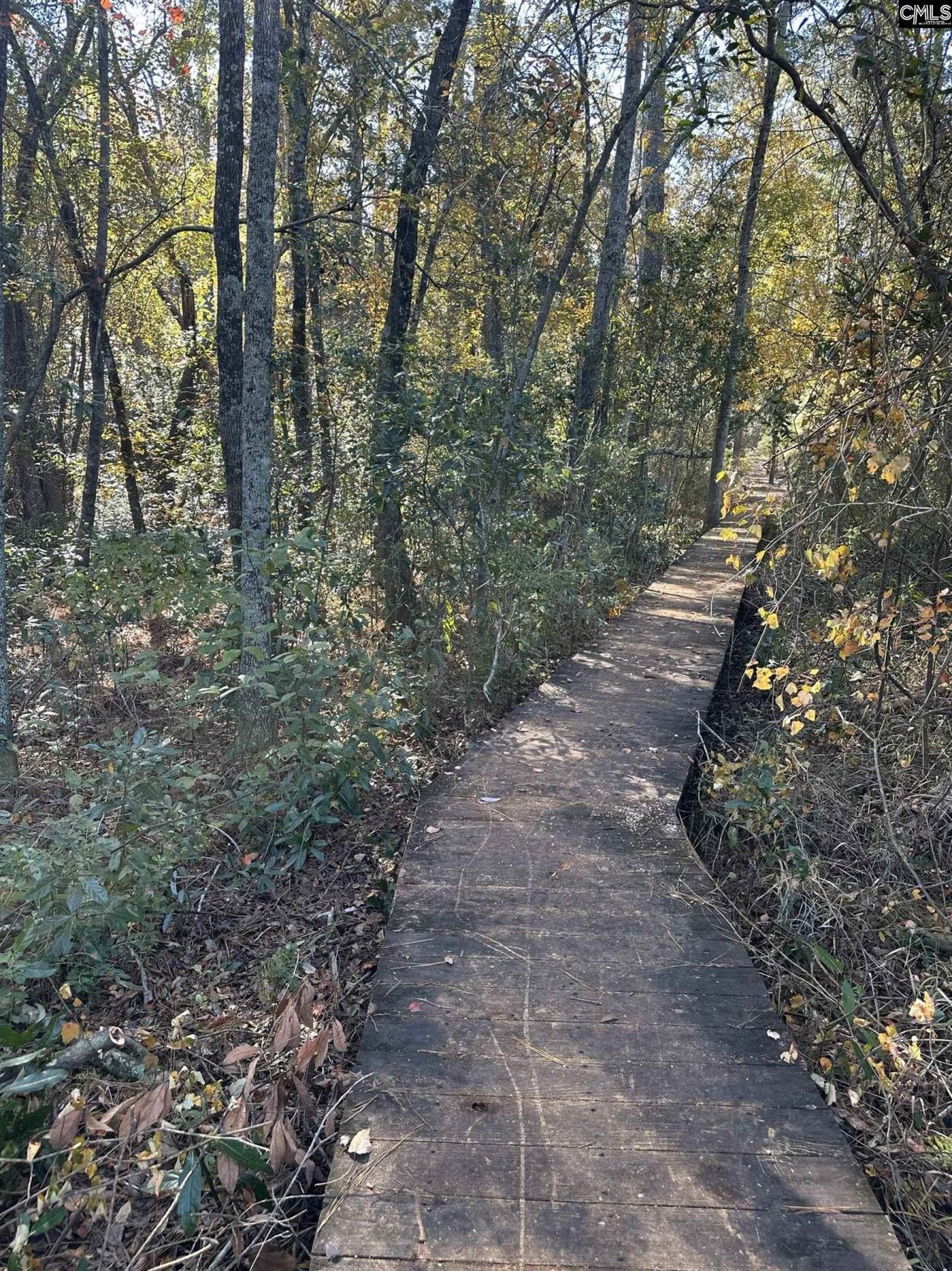 Lot 39 Edisto Lake Road Photo 4