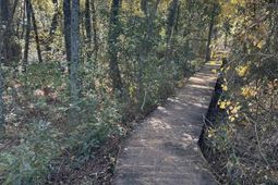 Lot 39 Edisto Lake Road photo 4