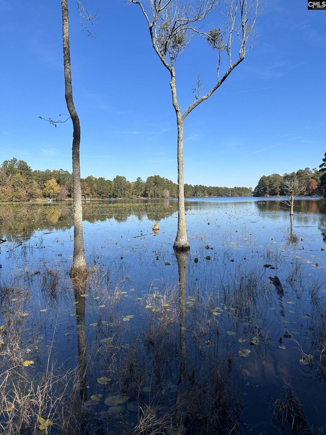 Lot 39 Edisto Lake Road Photo 5