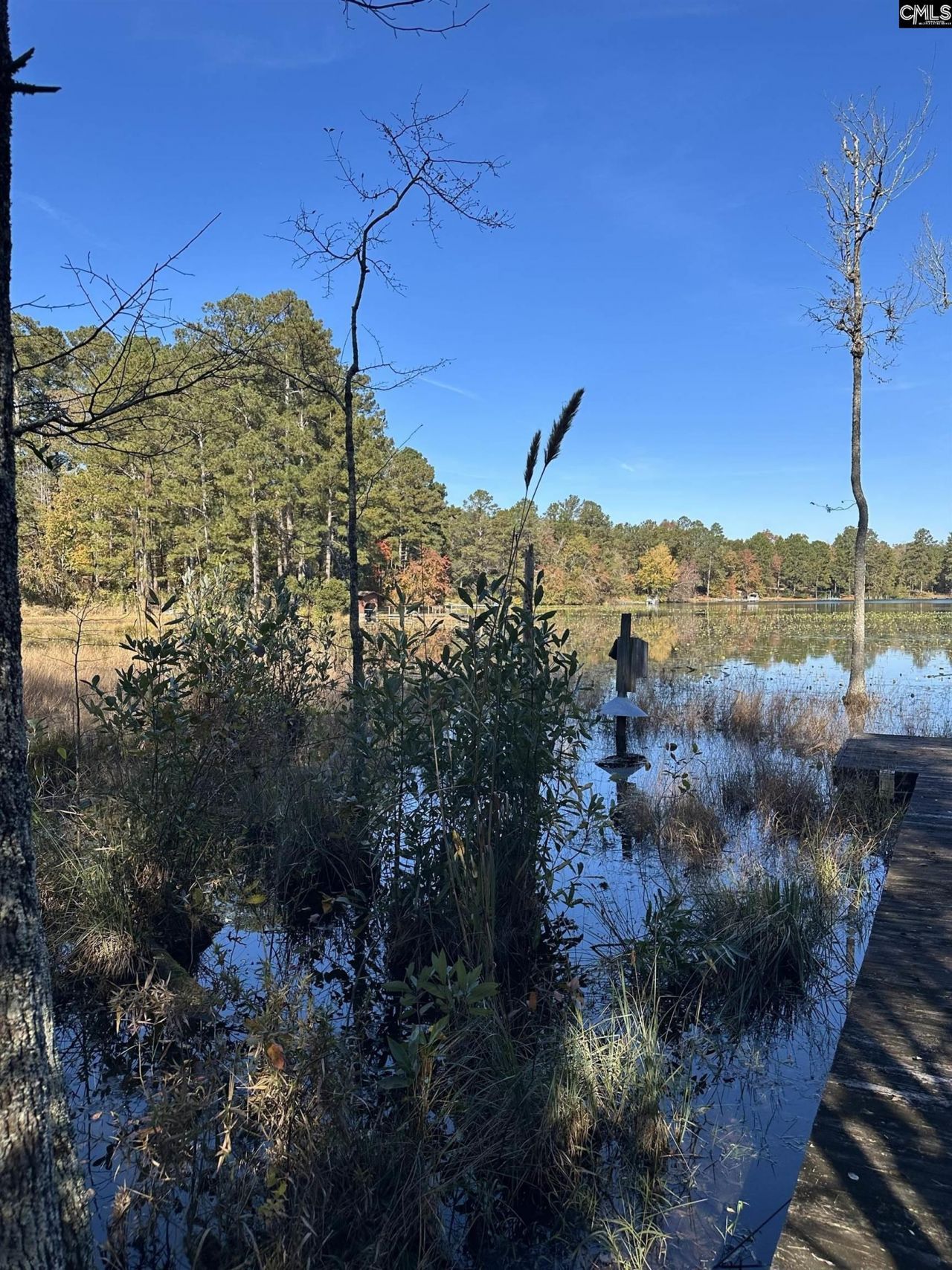 Lot 39 Edisto Lake Road Photo 5