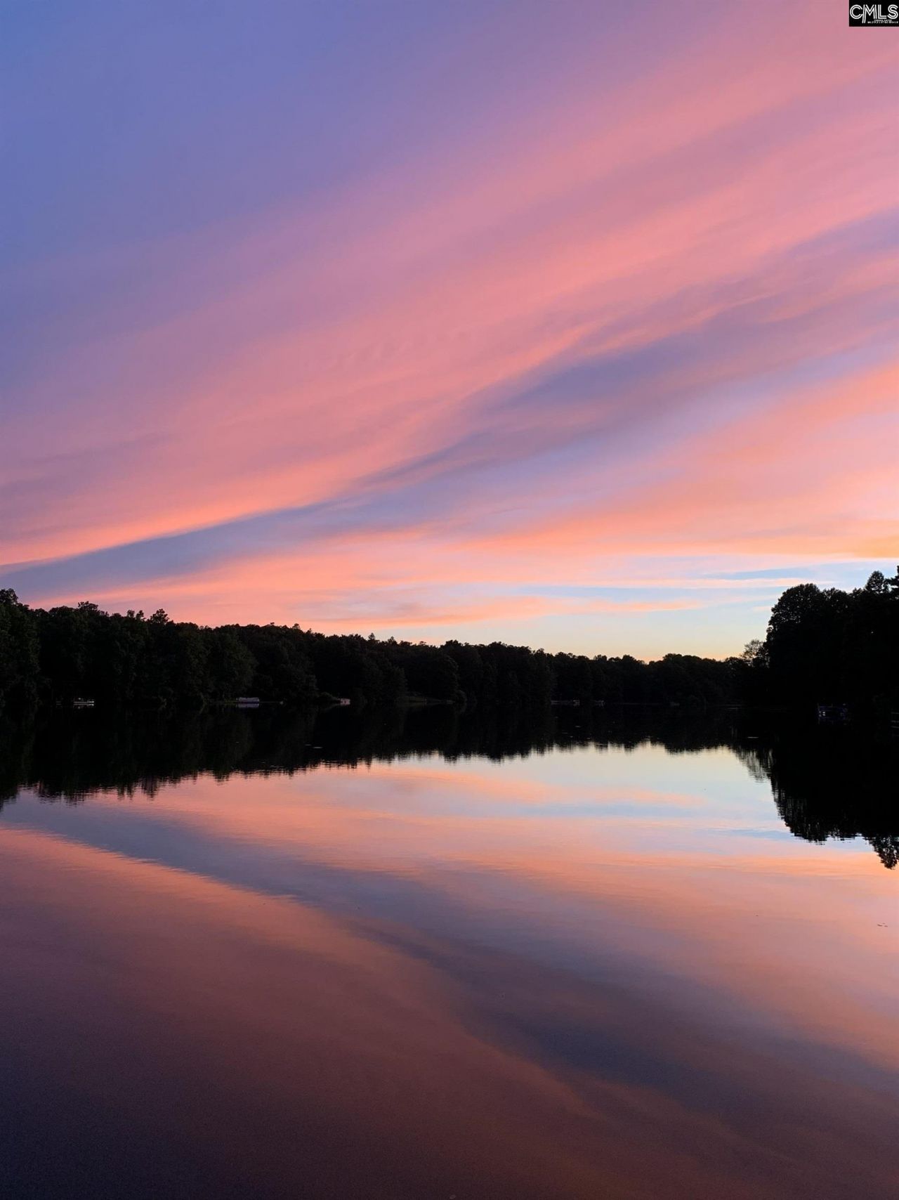 Lot 39 Edisto Lake Road Photo 7