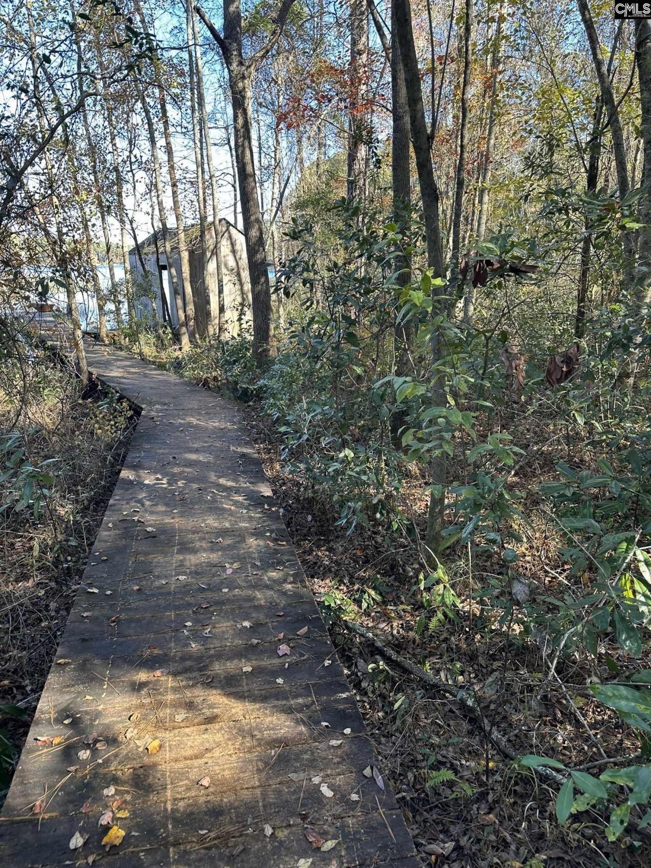 Lot 39 Edisto Lake Road Photo 8
