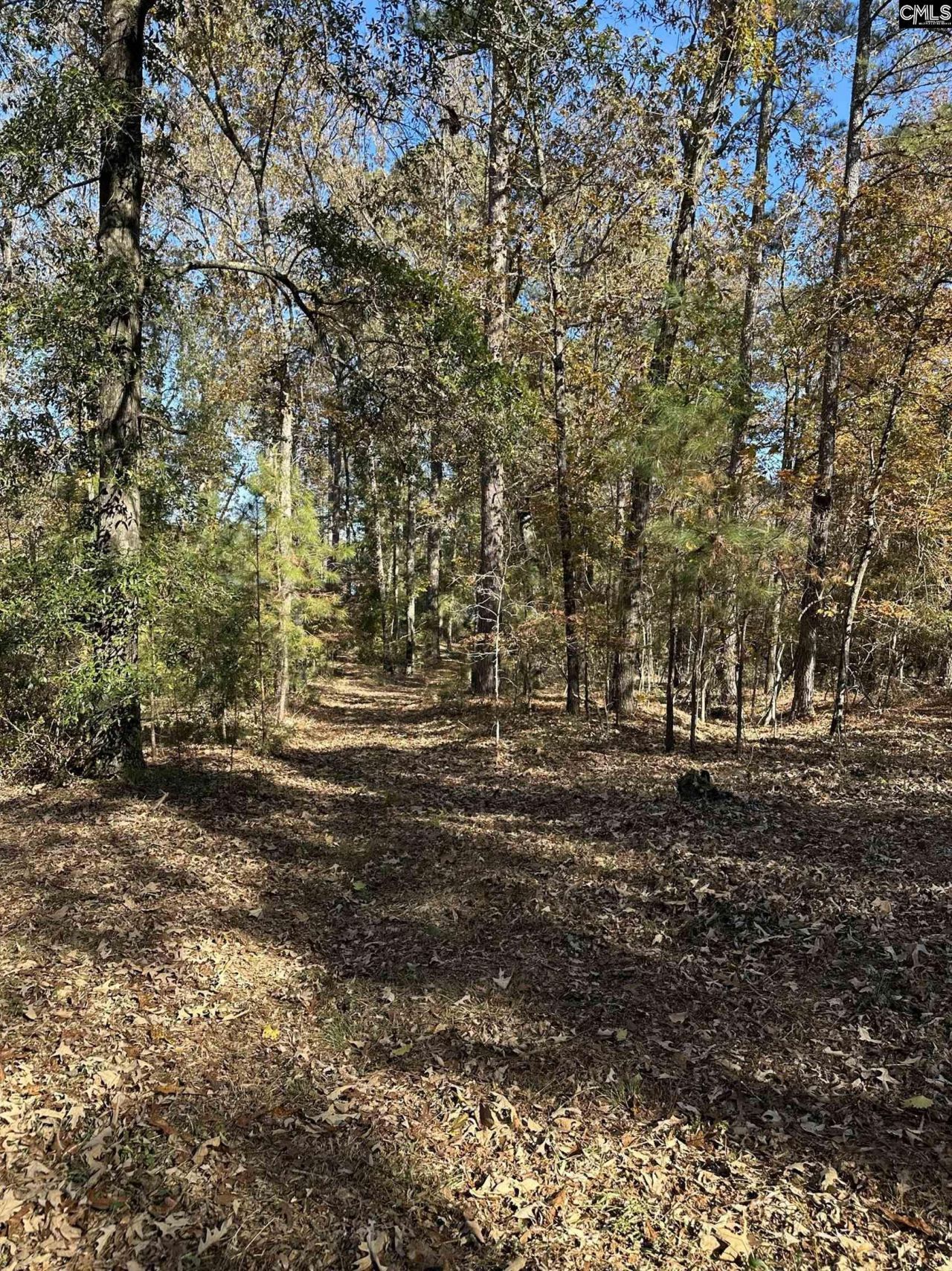 Lot 39 Edisto Lake Road Photo 9