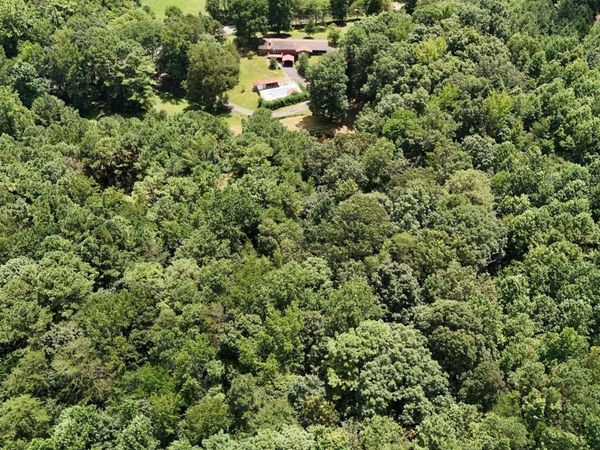 22 acres Gandys Cove Road, Falkville, AL 35622