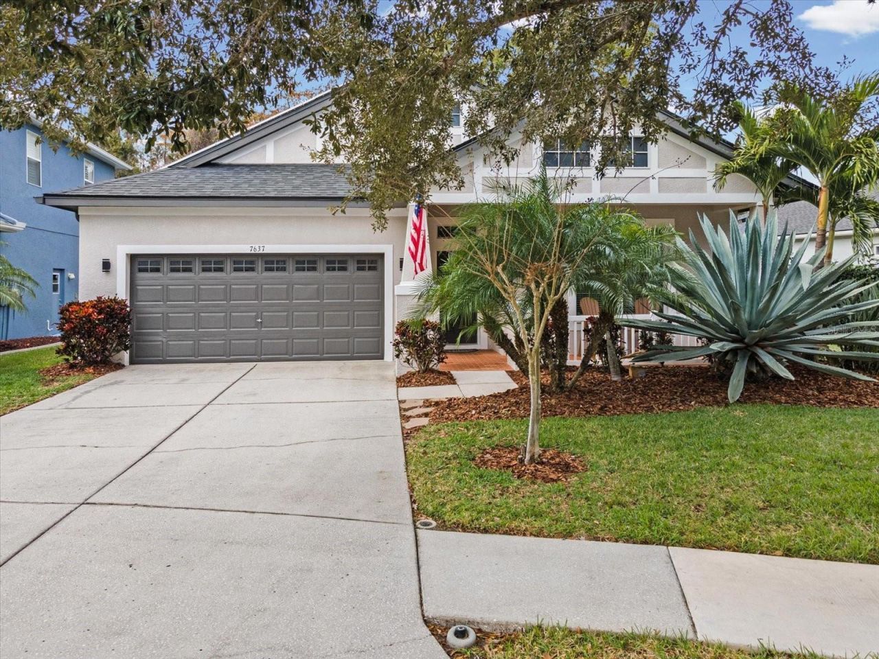 7637 Grasmere Drive, Land O Lakes, FL 34637 Main Photo