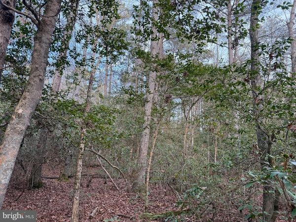 19285 VANDERHOOF LANE, VALLEY LEE, MD 20692