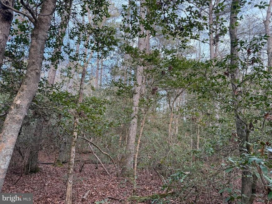 19285 Vanderhoof Lane, Valley Lee, MD 20692 Main Photo